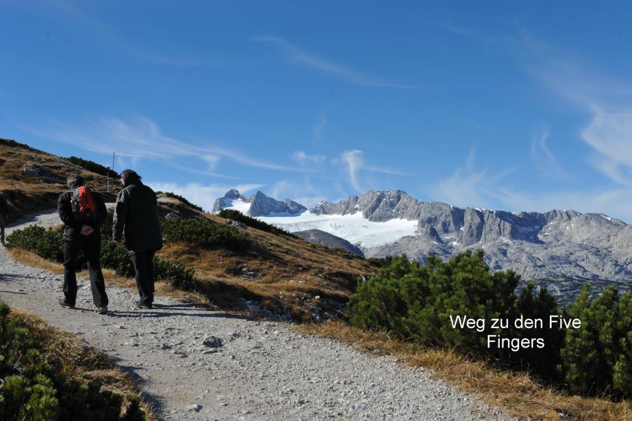 Haus Alpenblick Apartman Obertraun Kültér fotó