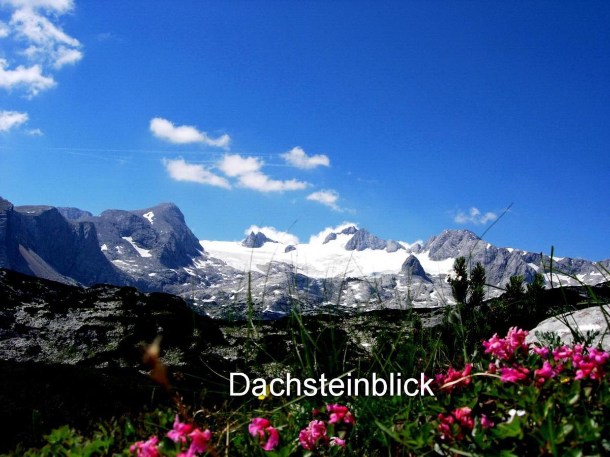 Haus Alpenblick Apartman Obertraun Kültér fotó