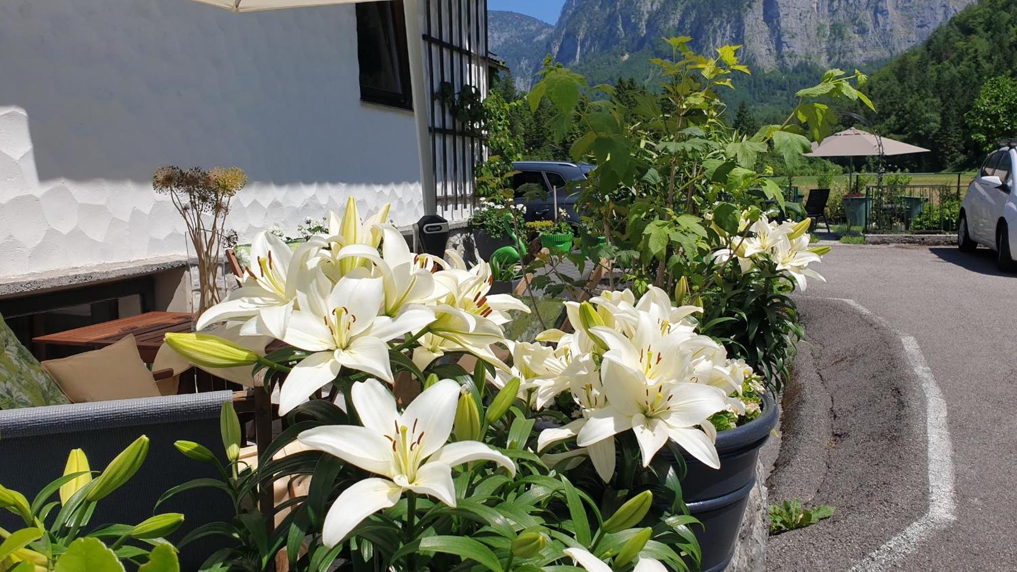 Haus Alpenblick Apartman Obertraun Kültér fotó
