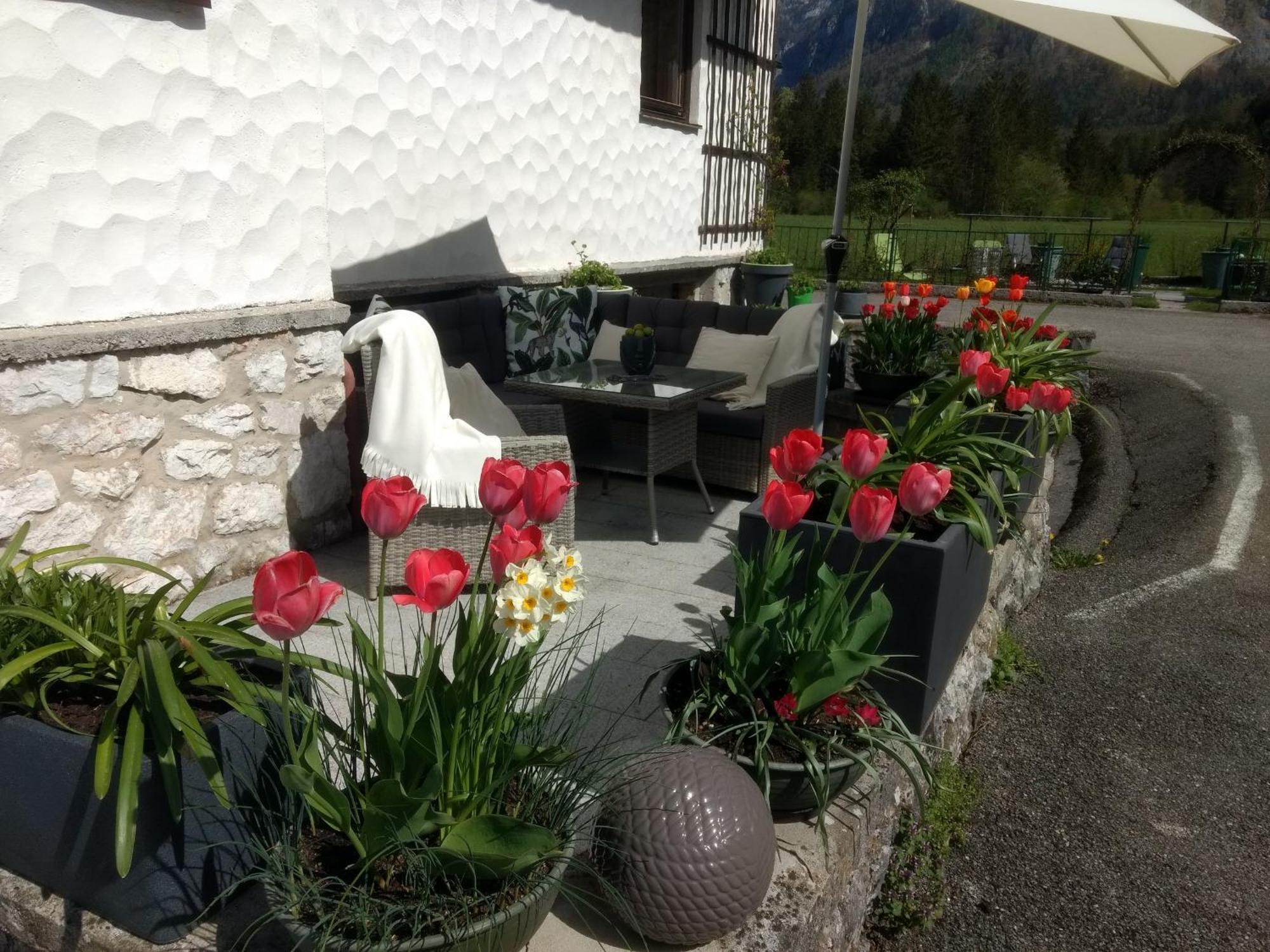 Haus Alpenblick Apartman Obertraun Kültér fotó