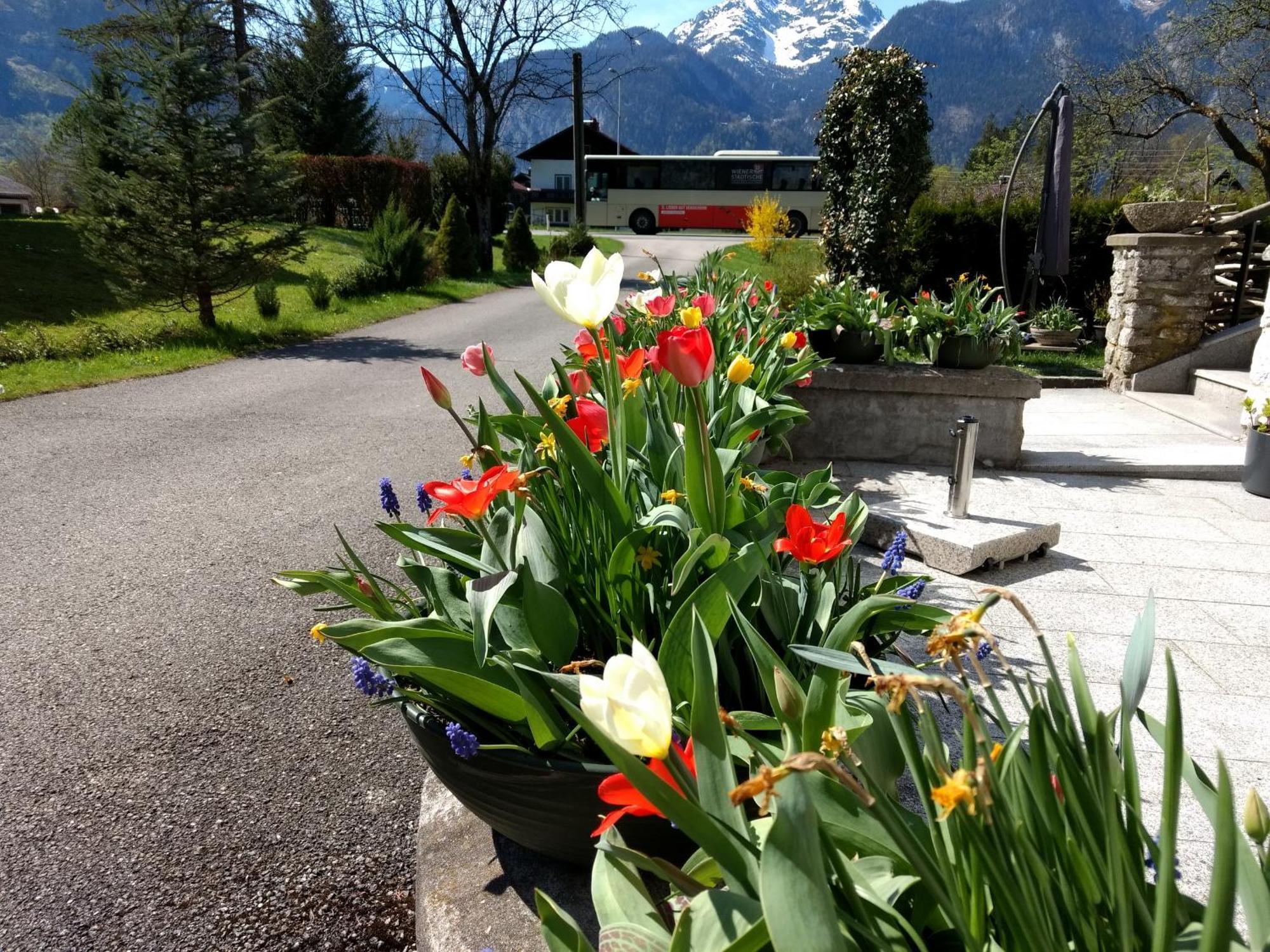 Haus Alpenblick Apartman Obertraun Kültér fotó